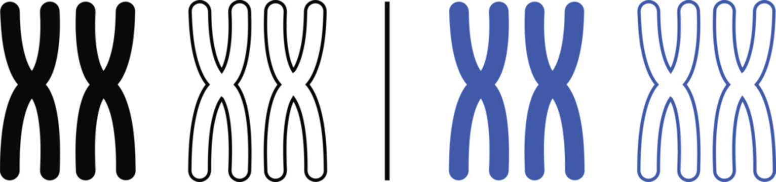 XX chromosome icon isolated on white background, black and blue vector illustration of genetic structure for DNA research, biology education, and heredity concepts.