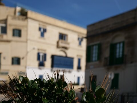 Maltese limestone building facade with traditional blue wooden balcony and green
plant in foreground under blue sky in St Julian's Malta