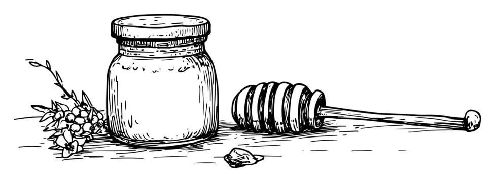 hand drawn honey jar with dipper illustration