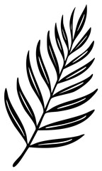 Obraz premium Tropical Leaf Hand Drawn Illustration Botanical Line Art Vector