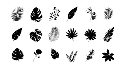 Black Tropical Leaves Silhouettes Vector Collection. Botanical Jungle Palm, Monstera, and Fern Leaf Illustration Set for Nature Design.