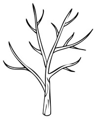 Fototapeta premium Minimalistic outline of a bare tree, showing branches. Ideal for design elements.