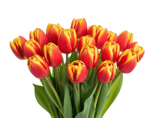 Fototapeta premium Vibrant orange tulips bouquet isolated on transparent background