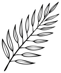 Obraz premium Minimalist hand-drawn illustration of a palm branch