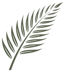 Fototapeta premium Stylized Illustration of a Tropical Palm Leaf Isolated on White
