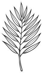 Obraz premium Stylized tropical palm leaf outline illustration for decorative and design purposes