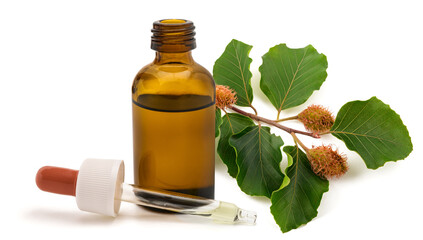 Beech branch with essence bottle