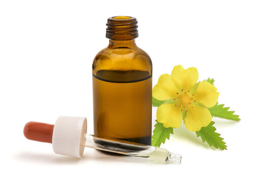 Potentilla flower extract in glass dropper bottle