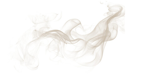 Fototapeta premium A mesmerizing display of smoke swirling in the darkness