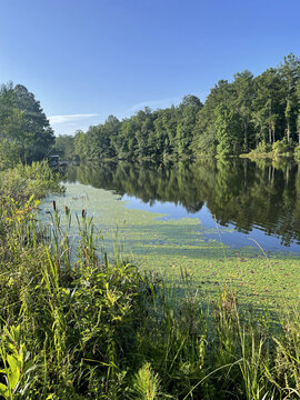 PerryPondLongDayView