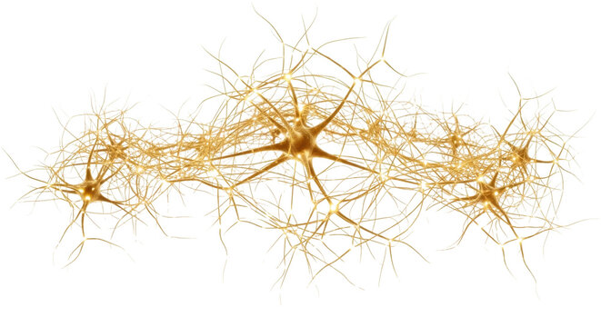 Network of Neurons