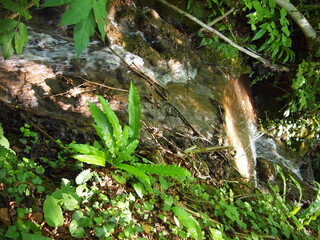 Obraz premium Vranjak waterfall - Vranjački slap (Žumberak – Samoborsko gorje Nature Park, Samobor, Croatia)