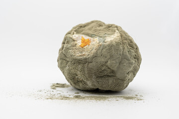 Spoiled orange covered with mold isolated on white background. Rotten citrus fruit with visible decay, fungal contamination and organic food waste concept.