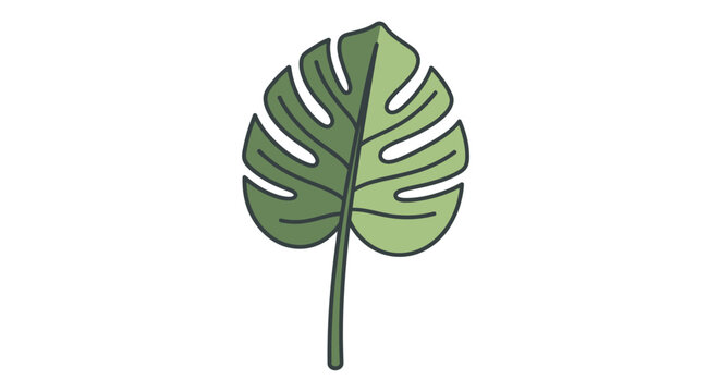 Green Monstera Leaf Close Up.