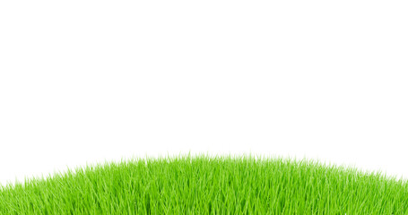 Green grass curved pavement isolated on transparent background