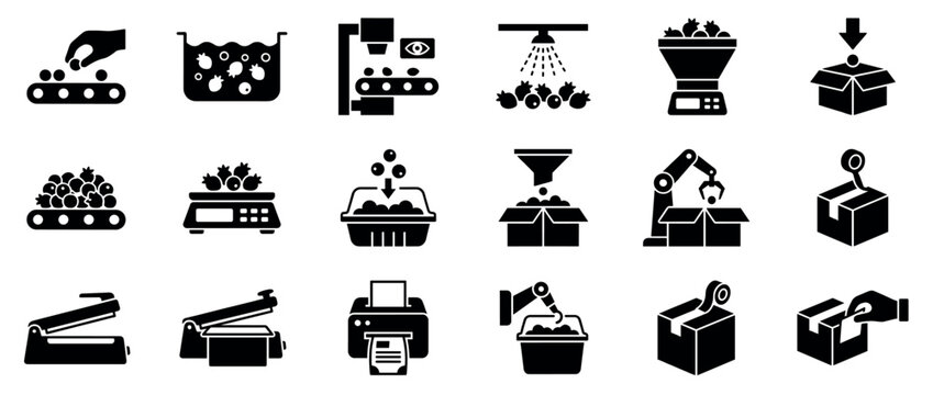 Berry processing and packaging solid icons showing the automated production line from sorting and washing to weighing and sealing in containers and boxes for distribution