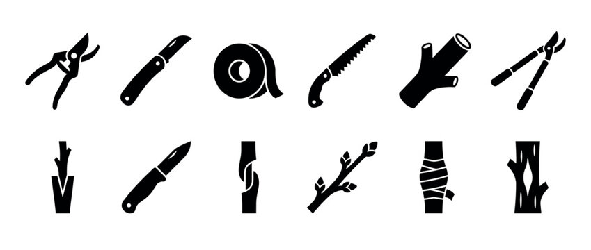 Set of black glyph icons for tree grafting and gardening tools including a knife, saw, tape, and pruners showing the process of plant propagation and horticulture