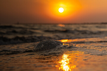 zachód słońca nad morzem  © Jan