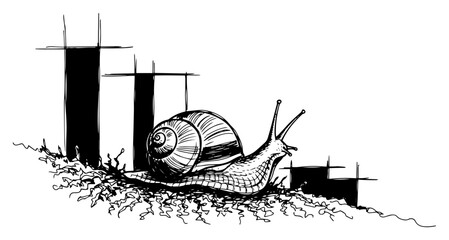 Garden Snail Crawling On Leaf Litter Hand Drawn Black and White Vector Illustration © Mago