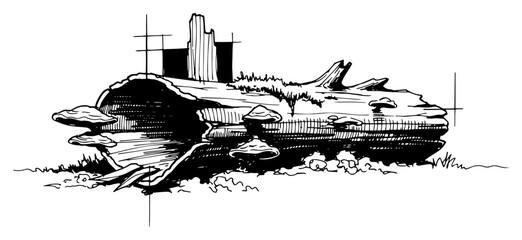 Fallen Tree Trunk with Mushrooms Moss and Fungi Forest Floor Black and White Vector Illustration © Mago
