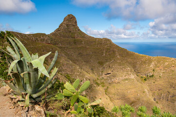 Roque de Taborno mountain peak and hiking trail in Anaga Rural Park, Tenerife, Canary Islands, Spain scenic landscape © Lizaveta