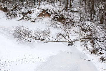 Fallen Trees Across Frozen River In Snow Covered Winter Forest