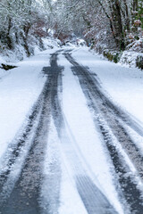 Obraz premium Winter road through trees with vehicle trails The Concept of Passage