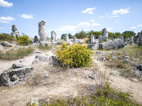 Rock formation Pobiti Kamani (Upright Stones), Bulgaria