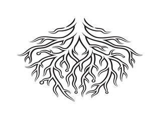 Fototapeta premium Botanical root fragments illustrated in clean vector style