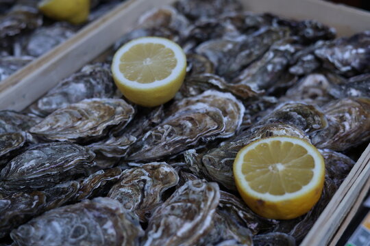 Gros plan d&rsquo;hu&icirc;tres fra&icirc;ches avec citron