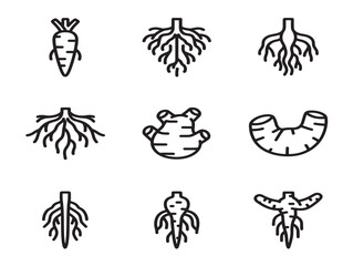 Fototapeta premium Root structure icons showing botanical underground systems