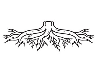Fototapeta premium Interwoven root systems illustrated in botanical line design