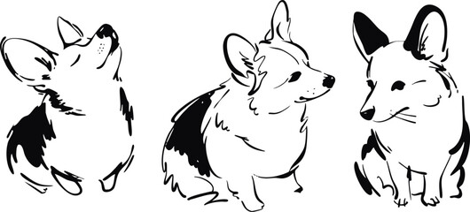 Corgi Dog Sketch Set Vector Illustration, Cute Puppy Poses Black and White Line Art