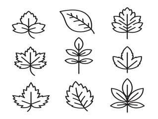 Obraz premium Leaf scatter set floating foliage line art vector