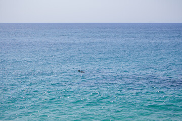 Naklejka premium Calm turquoise ocean surface under clear horizon