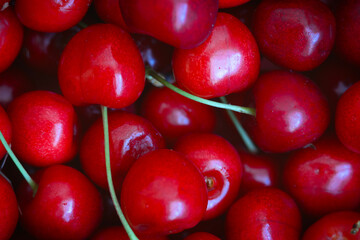 Cherries are gathered together in a bowl during summer harvest season