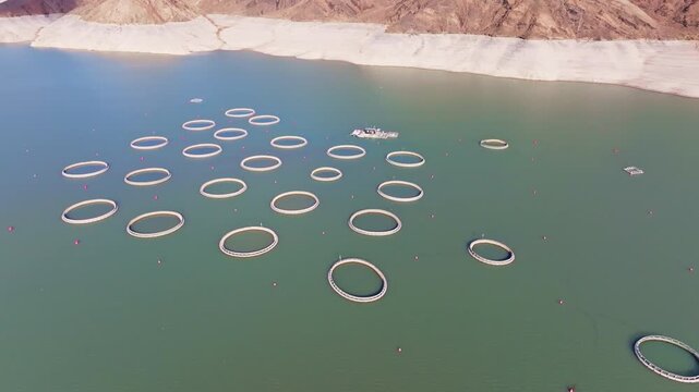Aerial view captures fish farm cages floating on serene Orto Tokoy Reservoir in Kyrgyzstan. Arid hills frame the scene, depicting a productive commercial setting during daytime.
