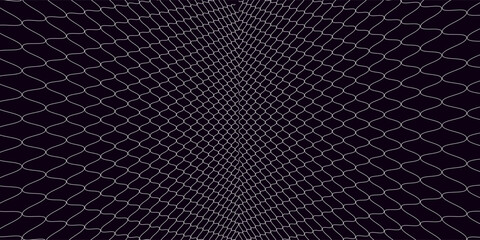 Mesh texture for fishing nets. Grunge pattern for sportswear or soccer goal, volleyball net, basketball hoop, hockey, athletics. Grunge background © Dion