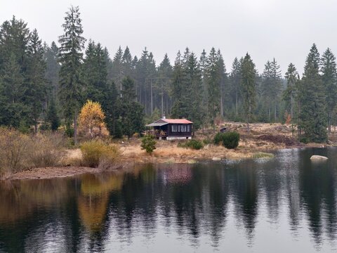 serene lakeside retreat, relaxing cabin nestled by water with rustling reeds and calming atmosphere