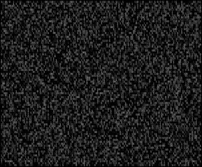 Fototapeta premium A high-contrast digital tapestry featuring a dense grid of brilliant white binary digits. This visualization captures the raw, clinical essence of pure information and software logic against an infini