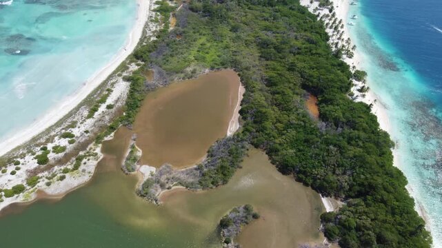 Aerial view of calm tropical waters and coastal vegetation. Serenity and nature background.