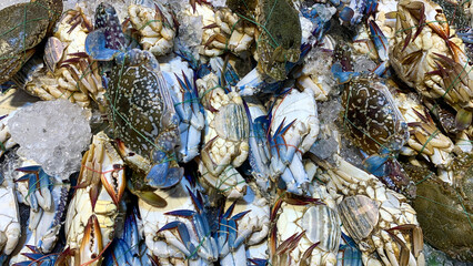 Fresh raw crabs piled together in a market display highlighting seafood abundance texture and coastal fishing industry context. © Maurice Yom