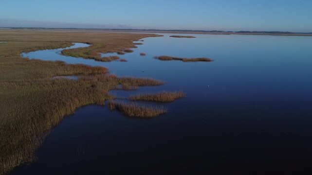 Savannah marshland