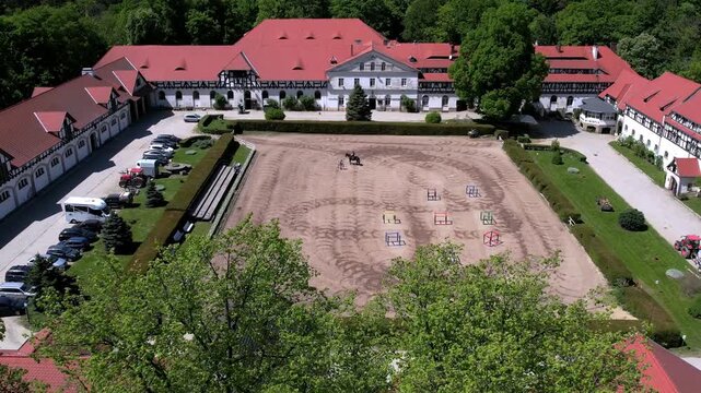A stud farm in the mountains near the castle