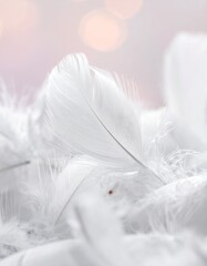 Macro shot of soft white feathers creating an abstract ethereal texture