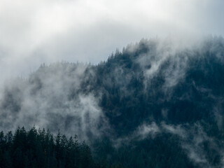 Obraz premium Misty Mountain Forest Shrouded in Fog Over Coastal Hills Along Howe Sound, BC