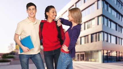 Obraz premium A couple happy young smiling woman