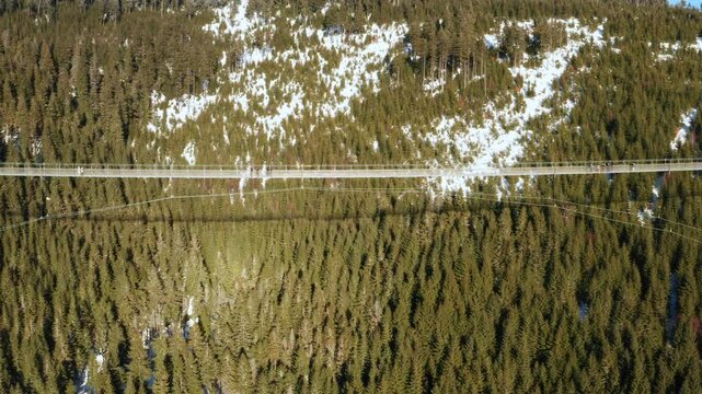 Sky Bridge 721 suspension bridge crossing a forest landscape in winter. Concept of modern architecture and nature.