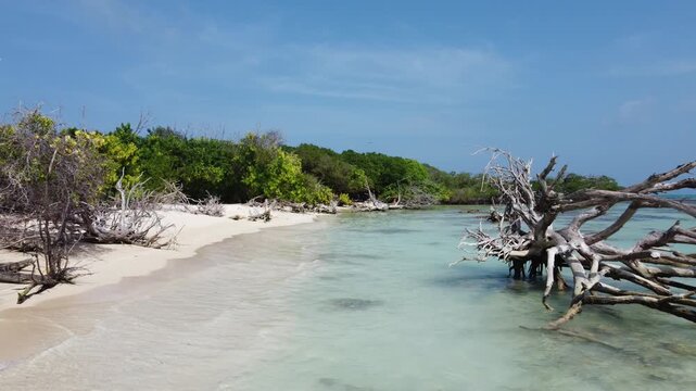 Smooth drone flight over tropical coastal landscape. Relaxing nature and travel scene
