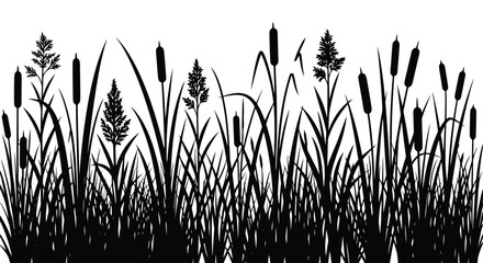 Fototapeta premium Silhouette of Cattails and Reeds Border.